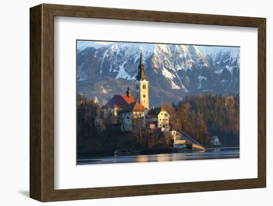 The Assumption of Mary Pilgrimage Church on Lake Bled, Bled, Slovenia, Europe-Miles Ertman-Framed Photographic Print