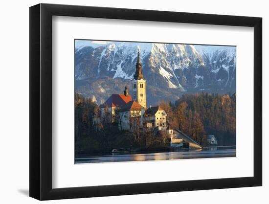 The Assumption of Mary Pilgrimage Church on Lake Bled, Bled, Slovenia, Europe-Miles Ertman-Framed Photographic Print