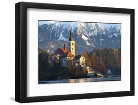 The Assumption of Mary Pilgrimage Church on Lake Bled, Bled, Slovenia, Europe-Miles Ertman-Framed Photographic Print