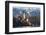 The Assumption of Mary Pilgrimage Church on Lake Bled, Bled, Slovenia, Europe-Miles Ertman-Framed Photographic Print