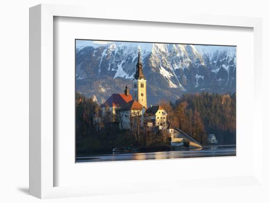 The Assumption of Mary Pilgrimage Church on Lake Bled, Bled, Slovenia, Europe-Miles Ertman-Framed Photographic Print