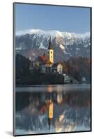 The Assumption of Mary Pilgrimage Church on Lake Bled, Bled, Slovenia, Europe-Miles Ertman-Mounted Photographic Print