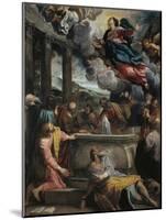 The Assumption of the Blessed Virgin Mary-Annibale Carracci-Mounted Giclee Print