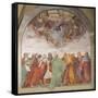 The Assumption of the Blessed Virgin Mary-Rosso Fiorentino-Framed Stretched Canvas