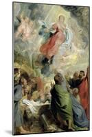 The Assumption of the Virgin Mary-Peter Paul Rubens-Mounted Giclee Print