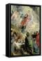 The Assumption of the Virgin Mary-Peter Paul Rubens-Framed Stretched Canvas