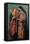 The Assumption of the Virgin with St Jerome-St Mark (probably)-Framed Stretched Canvas