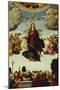 The Assumption of the Virgin-Martin Schaffner (Circle of)-Mounted Giclee Print