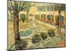 The Asylum Garden at Arles, c.1889-Vincent van Gogh-Mounted Premium Giclee Print