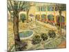 The Asylum Garden at Arles, c.1889-Vincent van Gogh-Mounted Giclee Print