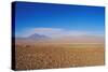 The Atacama Desert, Chile, South America-Mark Chivers-Stretched Canvas