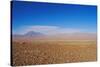 The Atacama Desert, Chile, South America-Mark Chivers-Stretched Canvas