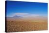 The Atacama Desert, Chile, South America-Mark Chivers-Stretched Canvas