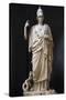 The Athena Giustiniani. Roman Copy of a Greek Statue of Pallas Athena. 2nd Century-null-Stretched Canvas