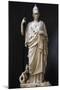 The Athena Giustiniani. Roman Copy of a Greek Statue of Pallas Athena. 2nd Century-null-Mounted Premium Photographic Print