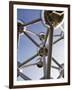 The Atomium, Brussels, Belgium-Gavin Hellier-Framed Photographic Print