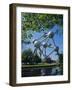 The Atomium, Brussels, Belgium-Nigel Francis-Framed Photographic Print