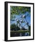 The Atomium, Brussels, Belgium-Nigel Francis-Framed Photographic Print