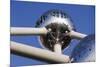 The Atomium, Brussels, Belgium-Gavin Hellier-Mounted Photographic Print