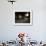 The Attic of Anne Frank House, Amsterdam, Holland-Christina Gascoigne-Framed Photographic Print displayed on a wall