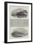 The Auckland Islands-null-Framed Giclee Print