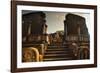 The Audience Hall in the Ancient City in Polonnaruwa-Alex Saberi-Framed Photographic Print