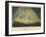 The Aurora Borealis as Seen to the South-East of Edinburgh-null-Framed Giclee Print