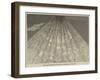 The Aurora Borealis at 10H 5M Pm, on Sunday, 24 October 1847-null-Framed Giclee Print