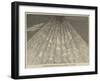 The Aurora Borealis at 10H 5M Pm, on Sunday, 24 October 1847-null-Framed Giclee Print