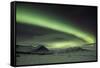 The Aurora Borealis in Iceland with Mountains in the Background-Alex Saberi-Framed Stretched Canvas