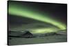 The Aurora Borealis in Iceland with Mountains in the Background-Alex Saberi-Stretched Canvas