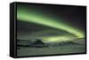 The Aurora Borealis in Iceland with Mountains in the Background-Alex Saberi-Framed Stretched Canvas