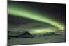 The Aurora Borealis in Iceland with Mountains in the Background-Alex Saberi-Mounted Photographic Print