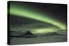 The Aurora Borealis in Iceland with Mountains in the Background-Alex Saberi-Stretched Canvas