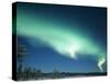 The Aurora Borealis, Lapland, Finland-Daisy Gilardini-Stretched Canvas