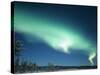 The Aurora Borealis, Lapland, Finland-Daisy Gilardini-Stretched Canvas