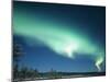 The Aurora Borealis, Lapland, Finland-Daisy Gilardini-Mounted Premium Photographic Print