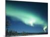 The Aurora Borealis, Lapland, Finland-Daisy Gilardini-Mounted Photographic Print