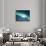 The Aurora Borealis, Lapland, Finland-Daisy Gilardini-Photographic Print displayed on a wall