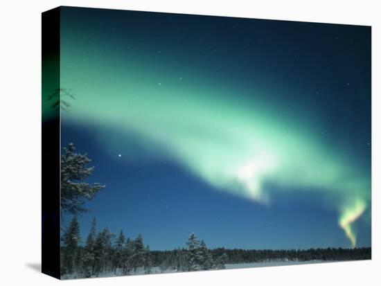 The Aurora Borealis, Lapland, Finland-Daisy Gilardini-Stretched Canvas