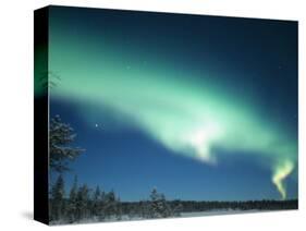 The Aurora Borealis, Lapland, Finland-Daisy Gilardini-Stretched Canvas