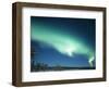 The Aurora Borealis, Lapland, Finland-Daisy Gilardini-Framed Photographic Print