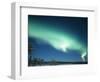 The Aurora Borealis, Lapland, Finland-Daisy Gilardini-Framed Photographic Print