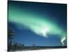 The Aurora Borealis, Lapland, Finland-Daisy Gilardini-Stretched Canvas