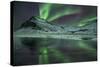 The Aurora Borealis Reflected in a Small Lake in Iceland with Mountains in the Background-Alex Saberi-Stretched Canvas