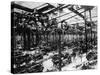 The Austin Car Factory at Longbridge, Birmingham, 1913-null-Stretched Canvas