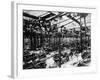 The Austin Car Factory at Longbridge, Birmingham, 1913-null-Framed Photographic Print