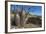 The Australian Boab Tree (Adansonia Gregorii), Camden Harbour, Kimberley, Western Australia-Michael Nolan-Framed Photographic Print