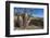 The Australian Boab Tree (Adansonia Gregorii), Camden Harbour, Kimberley, Western Australia-Michael Nolan-Framed Photographic Print