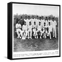 The Australian Cricket Team of 1912-null-Framed Stretched Canvas